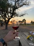 Texas Wine Country Glamping  the best camping experience ever
